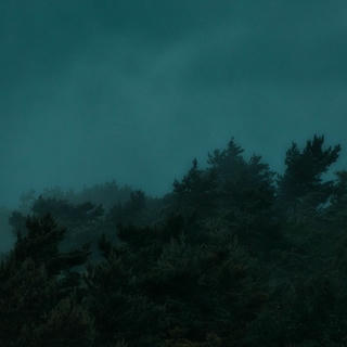A picture of partially mist-covered treetops with a dark teal filter on it.